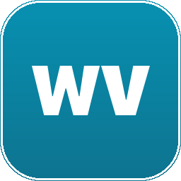 Wondershare Virbo Logo