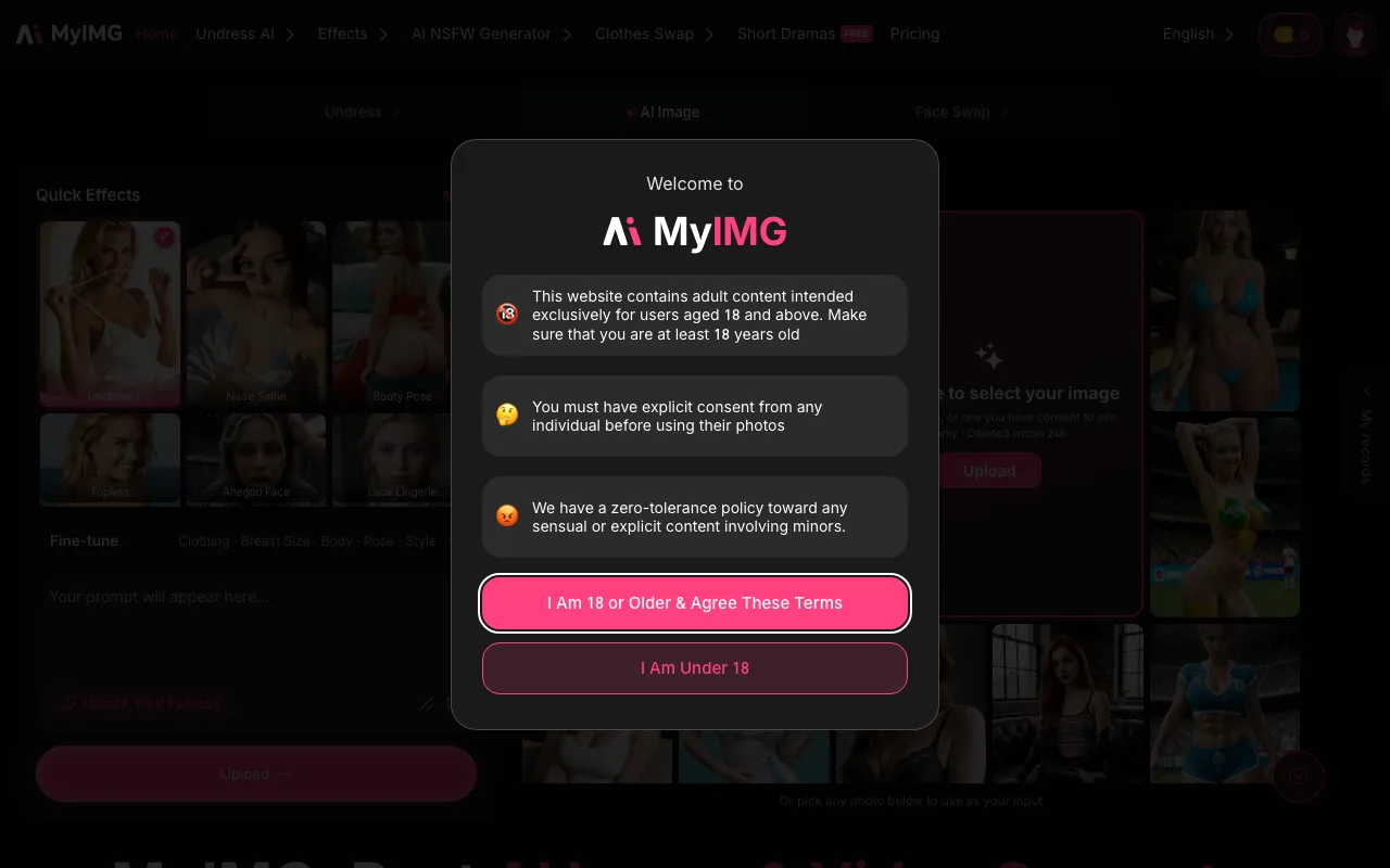 MyImg AI user interface and dashboard demonstration